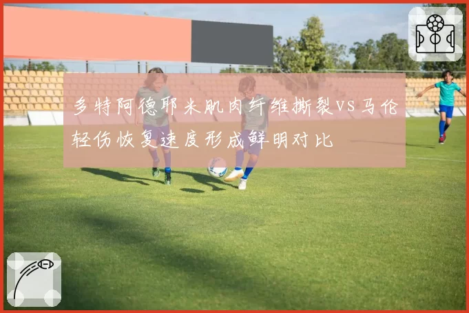 多特阿德耶米肌肉纤维撕裂vs马伦轻伤恢复速度形成鲜明对比