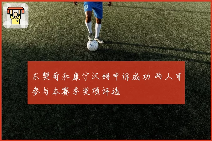 东契奇和康宁汉姆申诉成功 两人可参与本赛季奖项评选